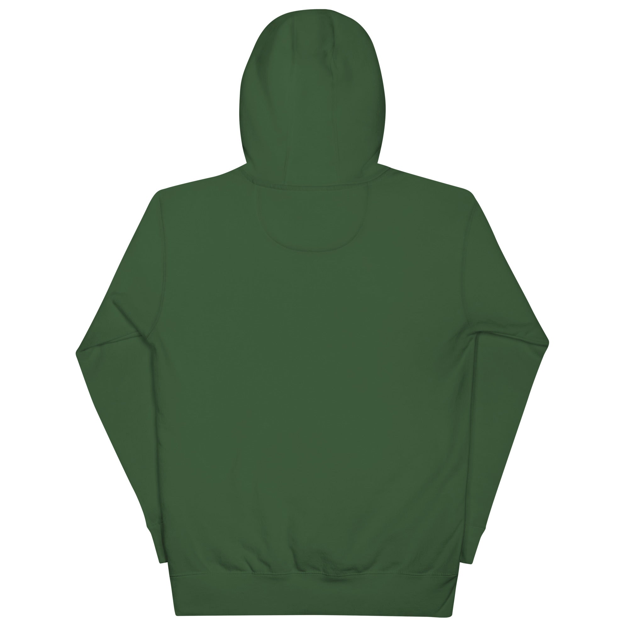 Mexican Flag Melted Halo Hoodie
